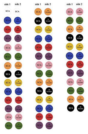 Starter Kit (100 Pieces)